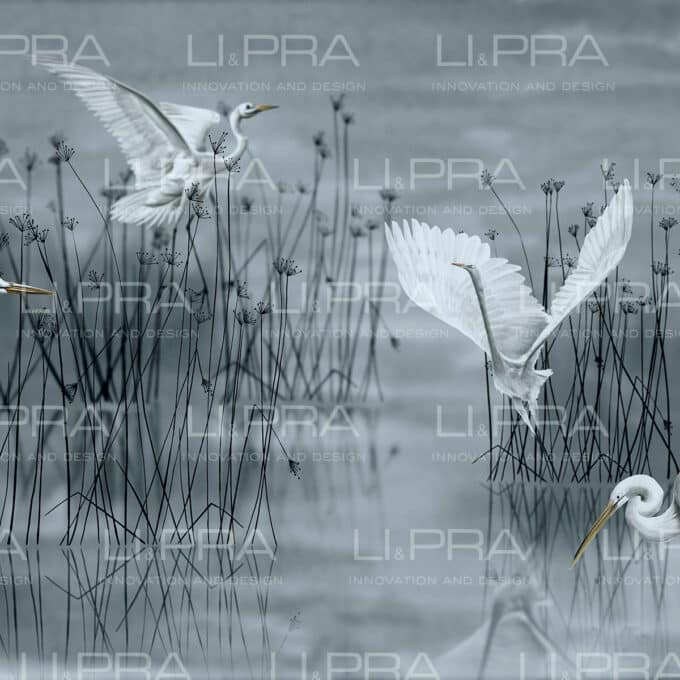 Papier peint panoramique sur mesure IN A BACKWATER par Li & Pra