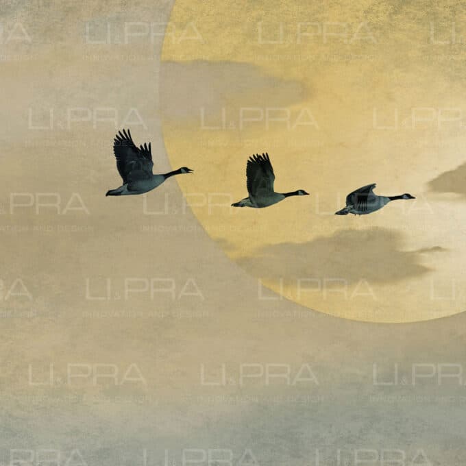 Papier peint panoramique sur mesure LIGHT FLIGHT par Li & Pra