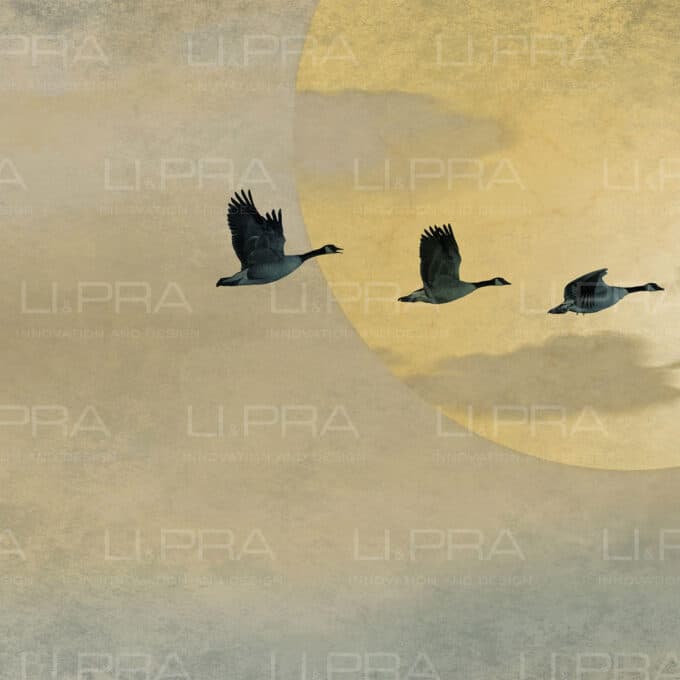 Papier peint panoramique sur mesure LIGHT FLIGHT par Li & Pra