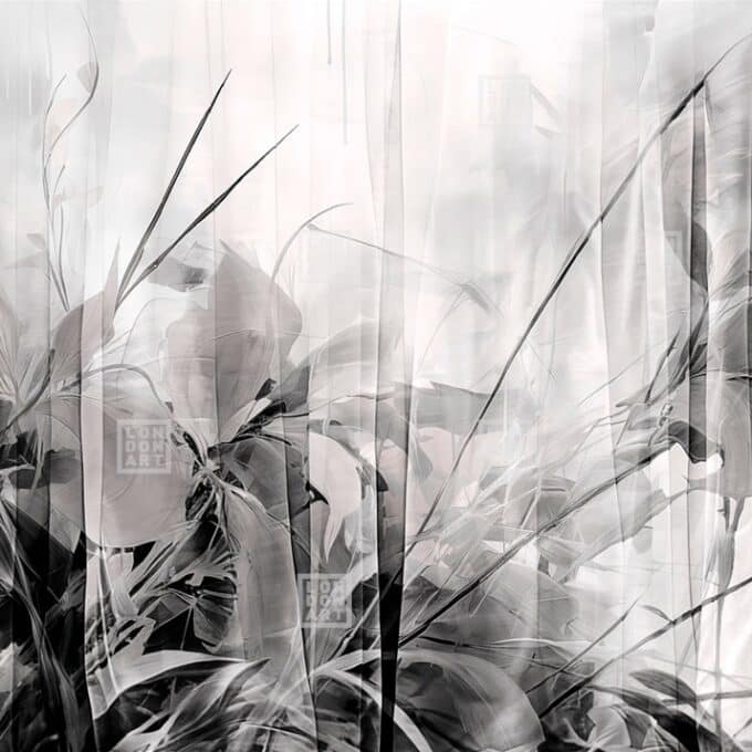 Papier Peint Panoramique sur Mesure BEYOND THE CURTAIN par Nicola Bottegal pour London Art