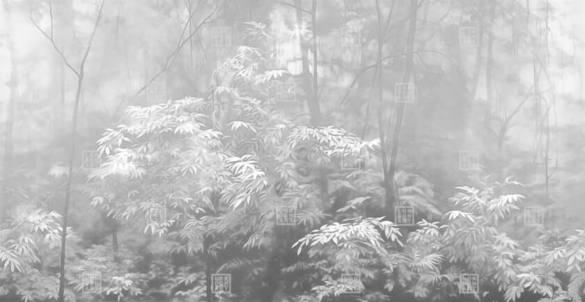 Papier Peint Panoramique sur Mesure INTO THE WOODS par Nicola Bottegal pour London Art – Image 4