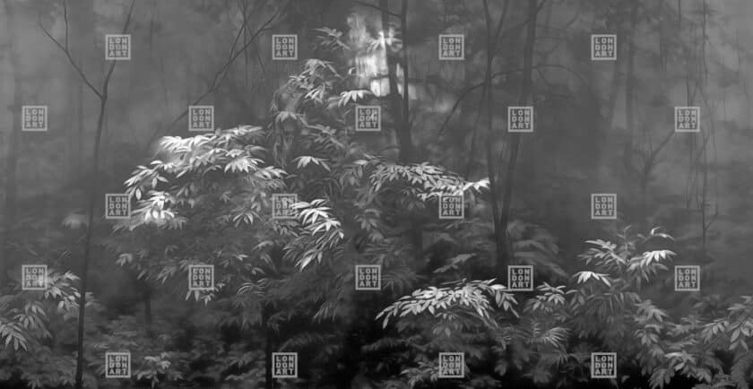 Papier Peint Panoramique sur Mesure INTO THE WOODS par Nicola Bottegal pour London Art – Image 5
