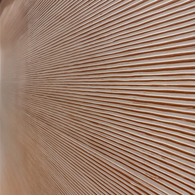 Carrelage Florim SensiTerre Mattone Cannettato 60x120 décoratif R10 9mm